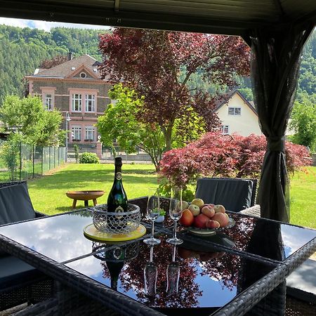 Neu - Ferienwohnungen Im Winzergarten 特拉本特拉巴赫 外观 照片