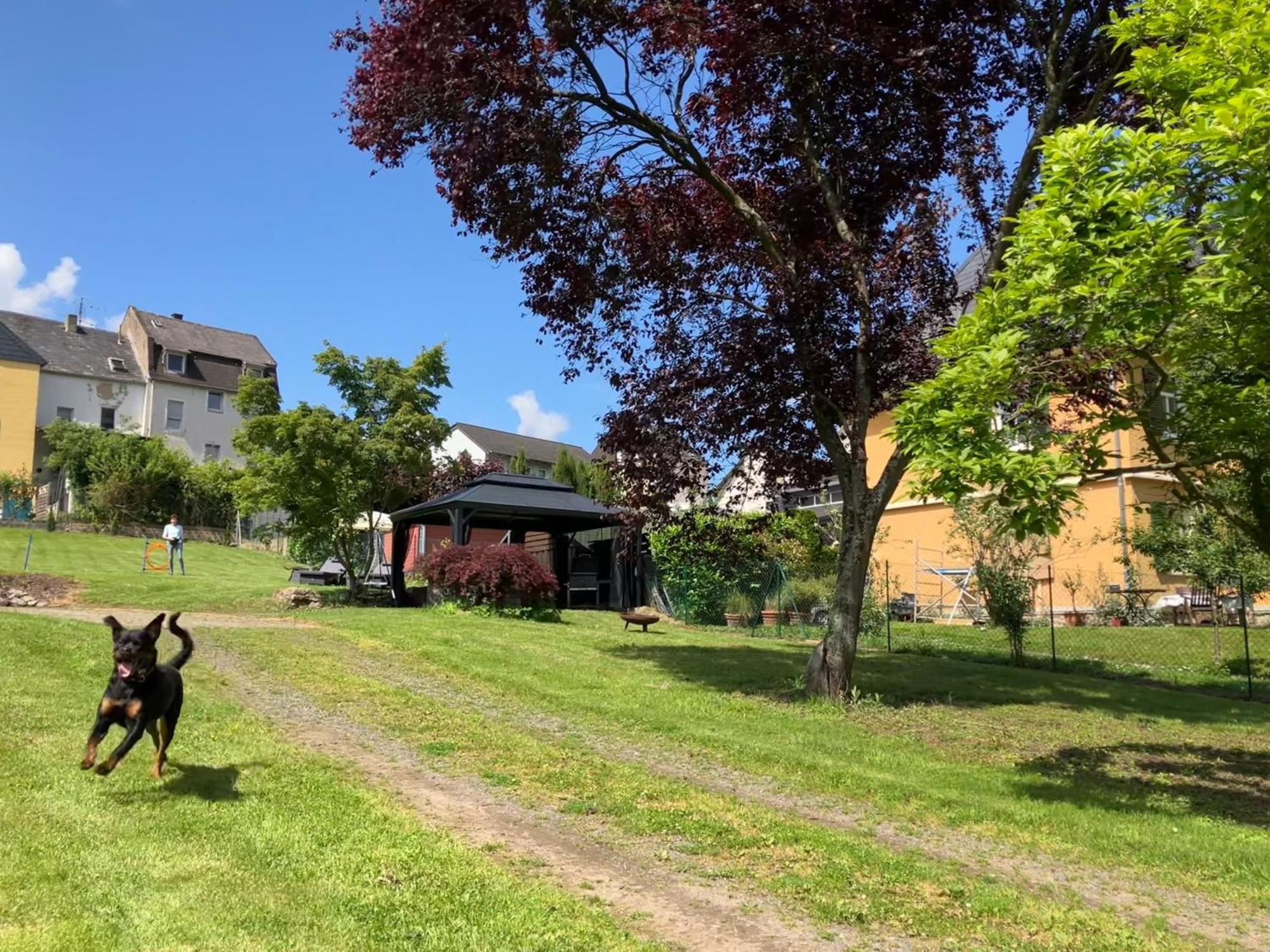 Neu - Ferienwohnungen Im Winzergarten 特拉本特拉巴赫 外观 照片