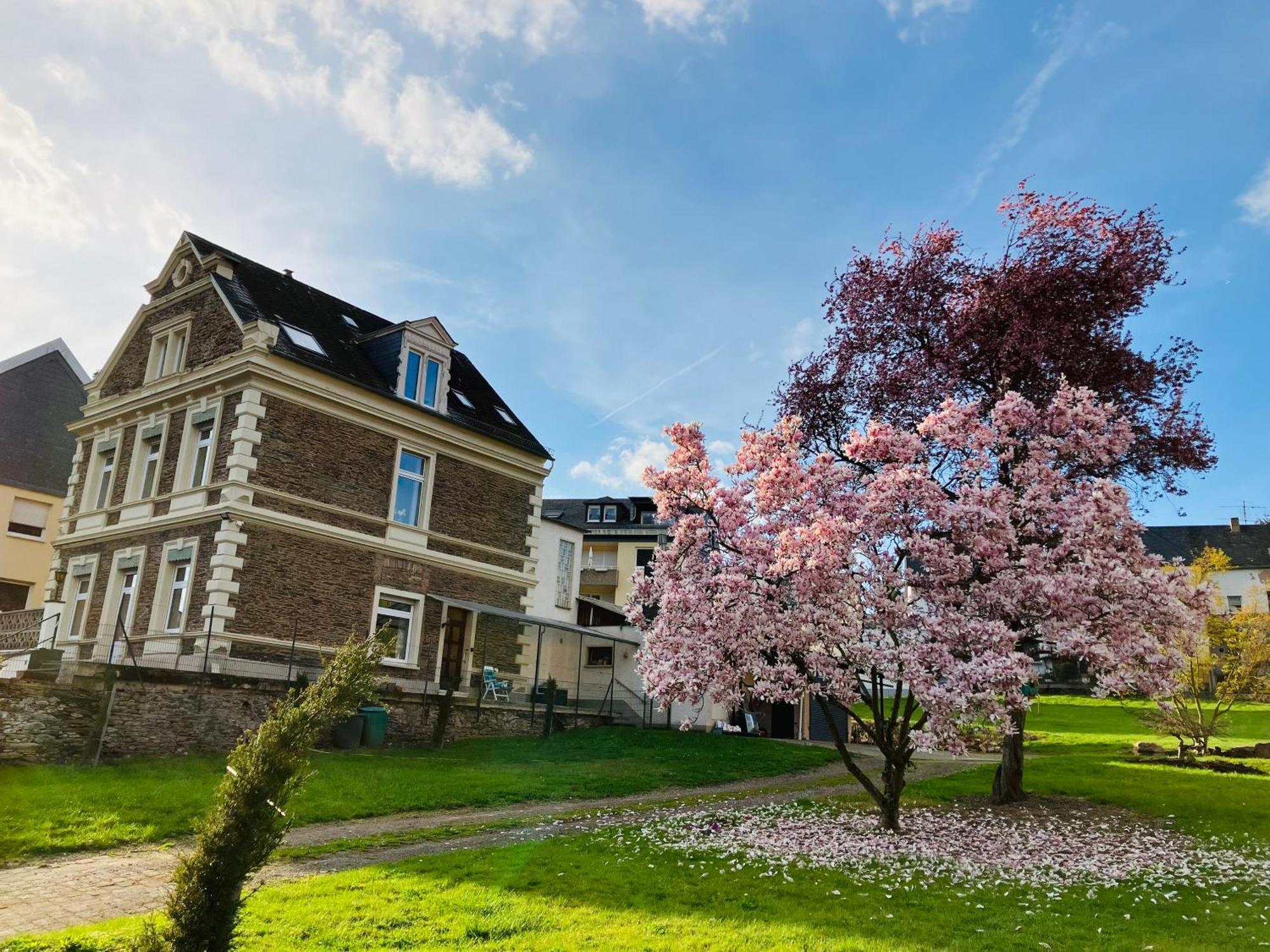 Neu - Ferienwohnungen Im Winzergarten 特拉本特拉巴赫 外观 照片